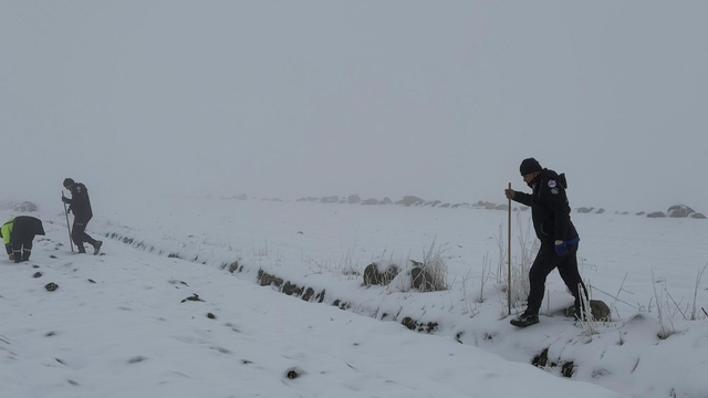 Diyarbakır'da ekipler kayıp kadını bulmak için seferber oldu