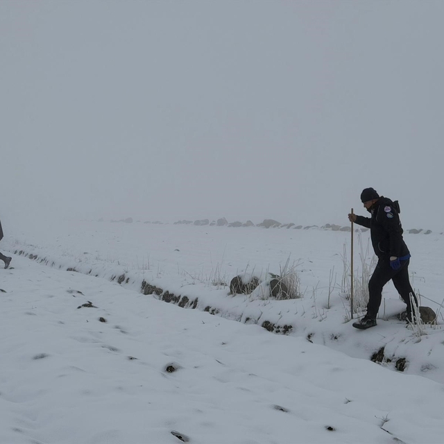 Diyarbakır'da ekipler kayıp kadını bulmak için seferber oldu