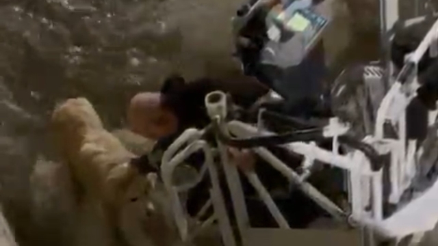 Karabük'te su kanalına düşen köpeği itfaiye kurtardı