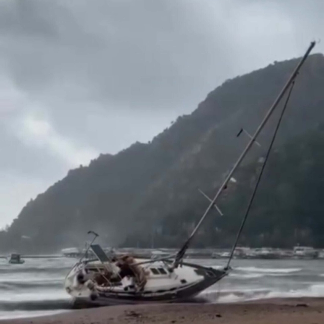 Marmaris'te fırtına; ağaçlar devrildi, yelkenli tekne karaya oturdu