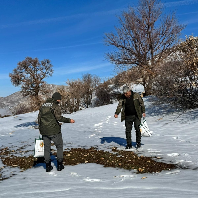 Batman'da kuşlar için doğaya yem bırakıldı