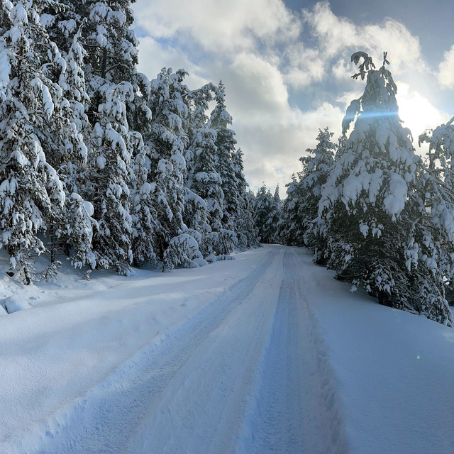 Eğriova Yaylası beyaza büründü