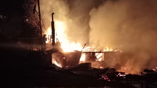 Ordu'da evini ateşe veren şahıs ağaçta asılı halde bulundu