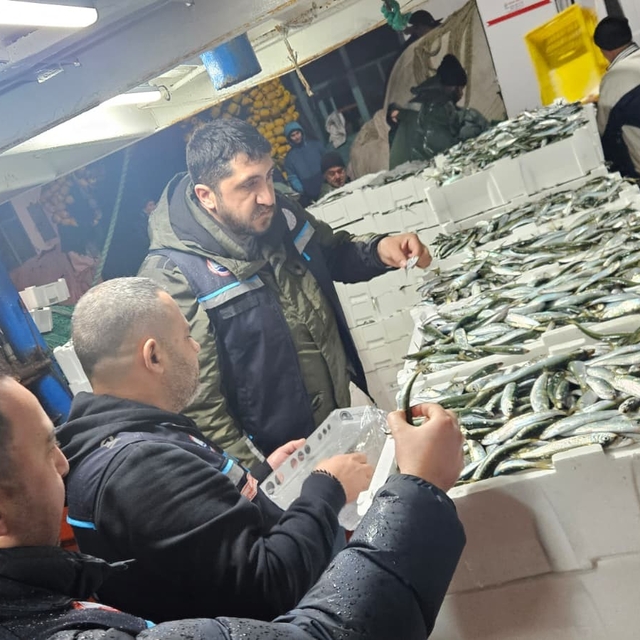 Tekirdağ'da gırgır teknelerinde su ürünleri denetimleri