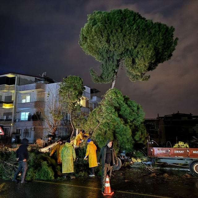 Fırtınada devrilen ağaç, elektrik tellerini kopardı