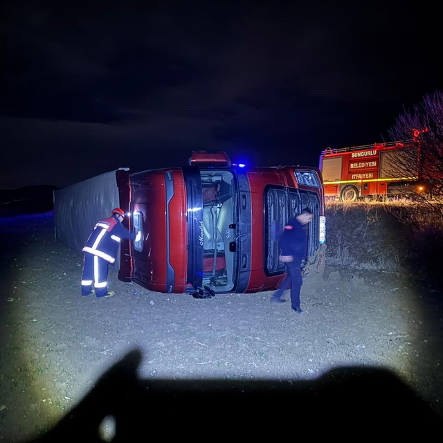 Köpeğe çarpmamak için manevra yaptı, tır şarampole devrildi: 1 yaralı