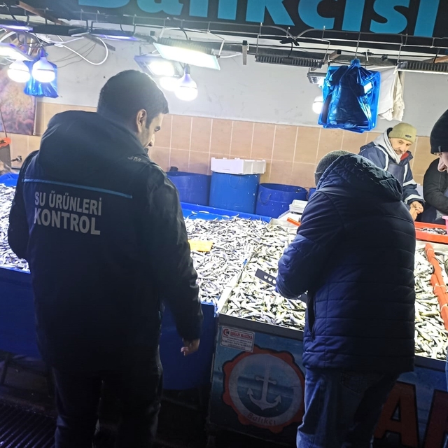 Kırklareli'nde su ürünleri denetimleri