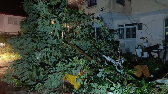 Hortum Manavgat'ı savaş alanına çevirdi
Çatılar uçtu, ağaçlar kökünden sökülüp savruldu