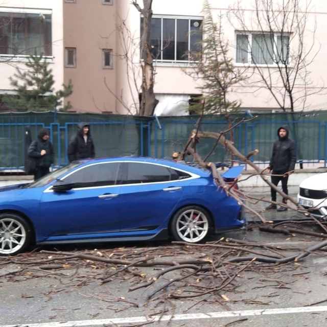 Isparta'da fırtına ağaçları devirdi, araçlar hasar gördü