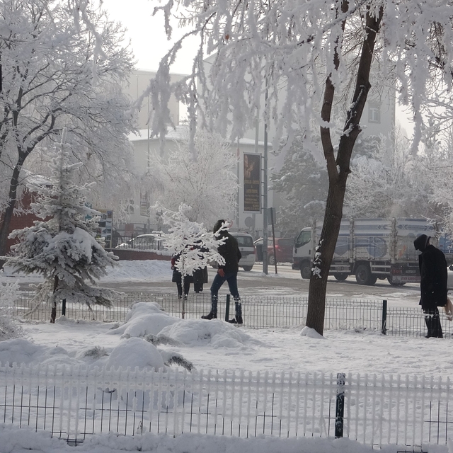 Kırağı sonrası görsel şölen oluştu