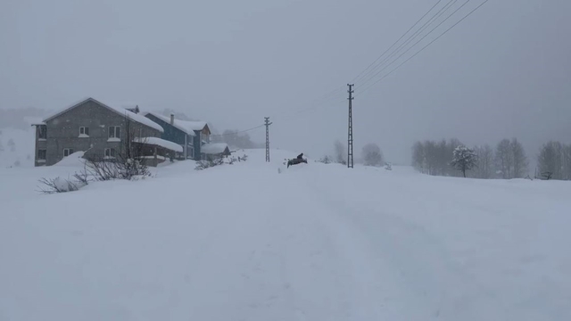 Karın tadını çıkarmak için İstanbul'dan Sivas'a akın ettiler
Sivaslılar kar tatili için kayak merkezlerini değil, köylerini tercih etti
İstanbul'dan köylerine gelen tatilciler karda doyasıya eğlendi