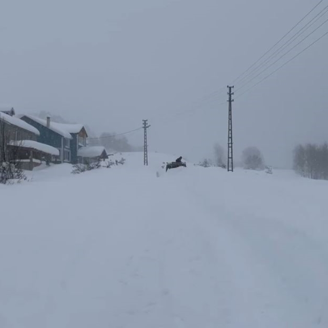 Karın tadını çıkarmak için İstanbul'dan Sivas'a akın ettiler
Sivaslılar kar...