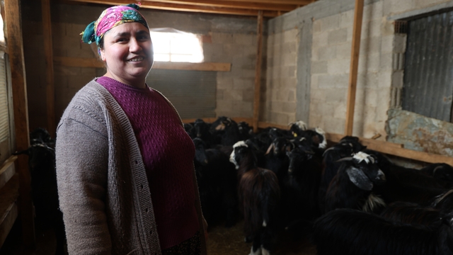 Kırsalda hayvancılıkla uğraşan kadın besicinin zorlu mesaisi