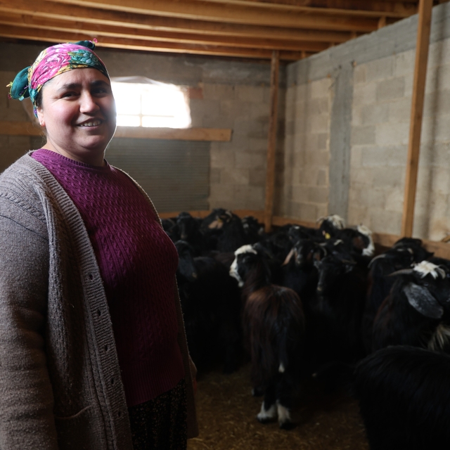 Kırsalda hayvancılıkla uğraşan kadın besicinin zorlu mesaisi