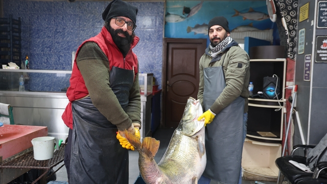 Elazığ'da yakalanan 78 kilogram ağırlığındaki turna balığını iki kişi zor taşıdı
