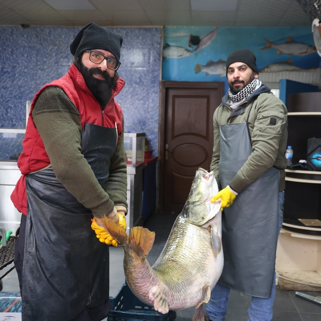 Elazığ'da yakalanan 78 kilogram ağırlığındaki turna balığını iki kişi zor t...
