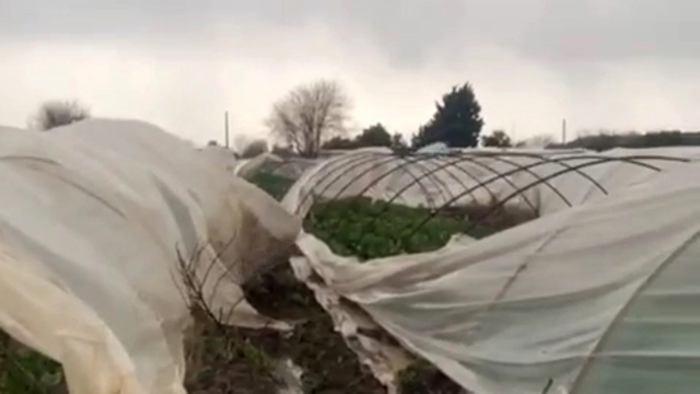 Antalya'da peş peşe hortumlar; seralar yıkıldı, çatılar uçtu (3)