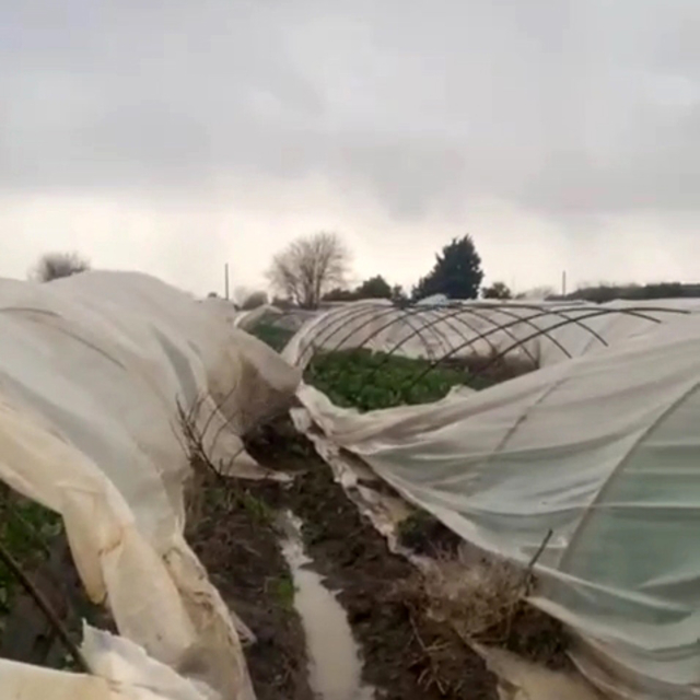 Antalya'da peş peşe hortumlar; seralar yıkıldı, çatılar uçtu (3)