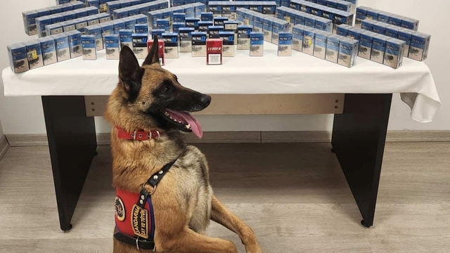 Kastamonu'da sahte içki ve kaçakçılık operasyonunda 2 zanlı yakalandı