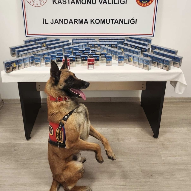 Kastamonu'da sahte içki ve kaçakçılık operasyonunda 2 zanlı yakalandı