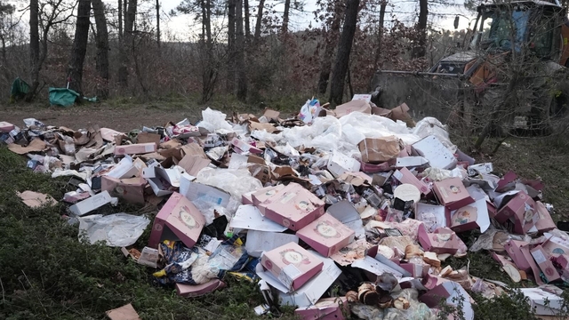 Ormanı çöplüğü çevirmişler
Düzce'de çevre kirliliğine müsaade yok
Temizlik işleri, kent ormanını sahipsiz bırakmadı
Çevre kirliliği ihlallerinde idari süreç başlatılacak