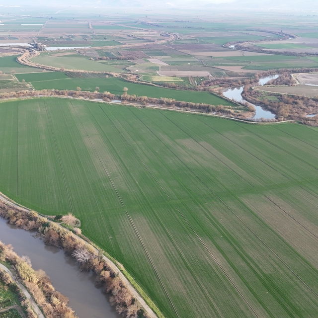 Menderes Nehri suya kavuştu