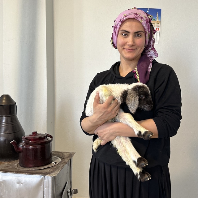 Annesiz kalan kuzu ailenin 'Umut'u oldu
Annesiz kuzuyu ev ortamında bebek ş...