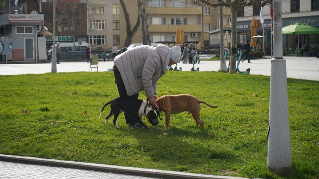 Kış ortasında sonbahar havası