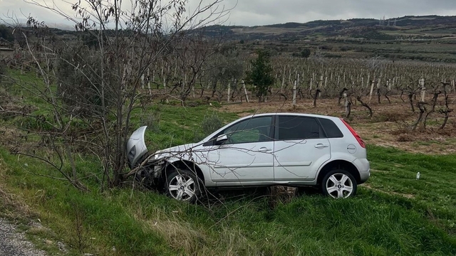 Buldan'da aynı yolda ikinci kaza, otomobil üzüm bağına uçtu