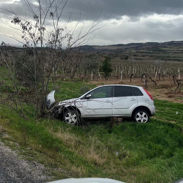 Buldan'da aynı yolda ikinci kaza, otomobil üzüm bağına uçtu