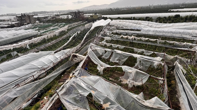 Finike'de hortumun verdiği hasar gündüz ortaya çıktı
"Oğlumun yanına kaçacaktım fakat kaçamadım. Hortum evimin üzerinden geçip gitti"