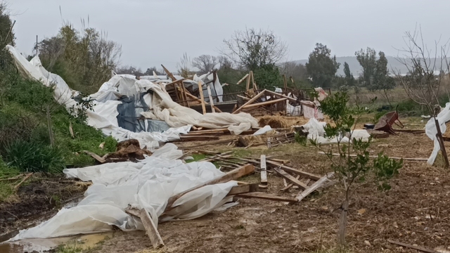 Manavgat'ta hortum 300 dönümlük alanda seraları yerle bir etti
Binlerce zeytin ağacını kökünden söküp metrelerce ileri fırlattı