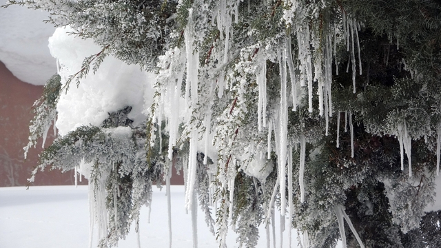 Bitlis'te karla mücadeleye rekor yakıt harcaması