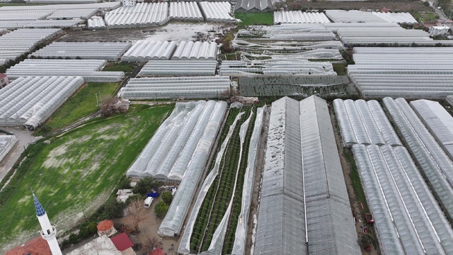 Seydikemer'de hortum, fırtına ve dolu seraları vurdu: 100 dönüm zarar