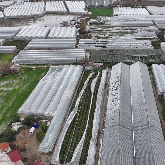 Seydikemer'de hortum, fırtına ve dolu seraları vurdu: 100 dönüm zarar