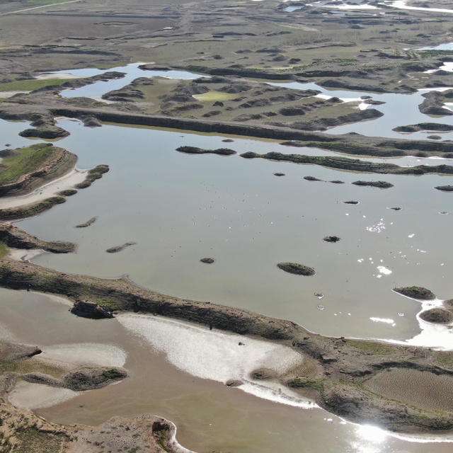 İzmir'de yağışlar barajlara nefes aldırdı
Prof. Dr. Doğan Yaşar: "Dünya 'ya...