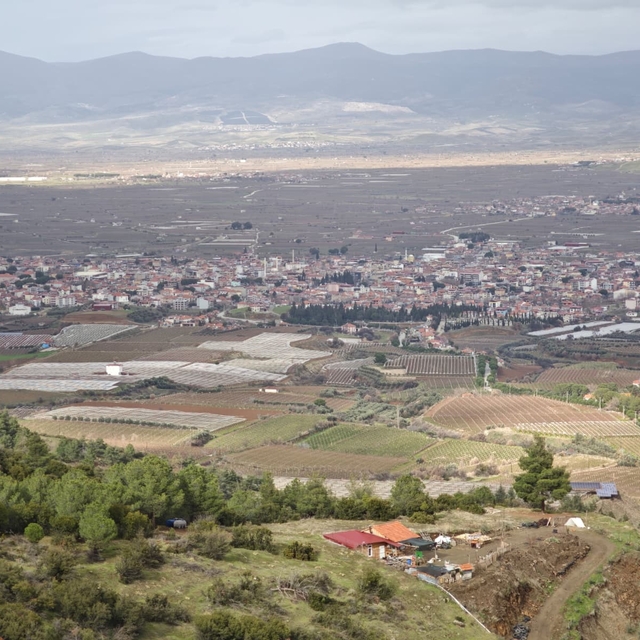 Sarıgöl Ovası gelinliğini çıkardı