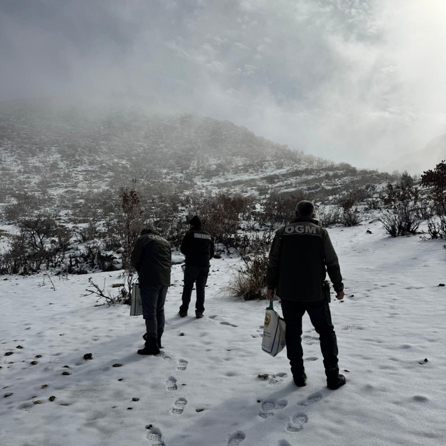 Dondurucu soğuklarda yaban hayata umut oldular