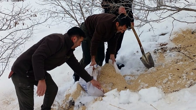 Kemah'ta yaban hayatı unutulmadı