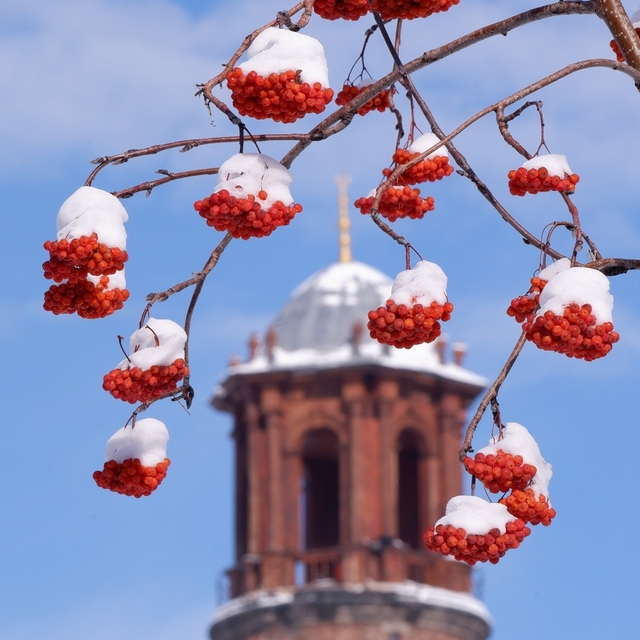 Buzlanma, don ve çığa dikkat