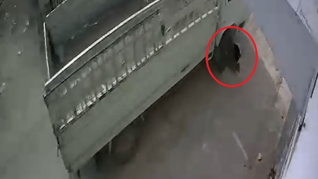 Kamyonetiyle kediyi ezen sürücüye 1 ay hayvan barınağında çalışma cezası