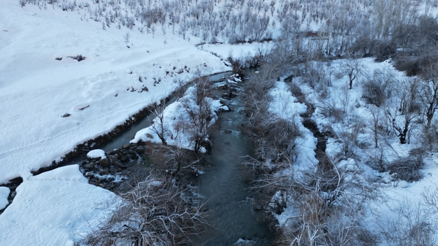 Şırnak'ta dereler buz tuttu