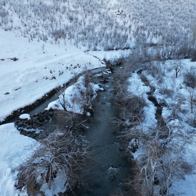 Şırnak'ta dereler buz tuttu