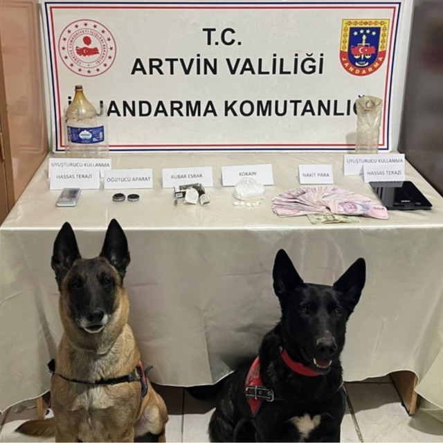 Artvin'de uyuşturucu operasyonu