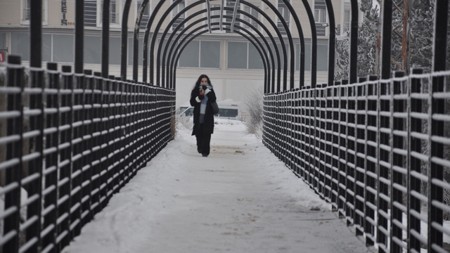 Kars'ta soğuktan ağaçlar kırağı tuttu