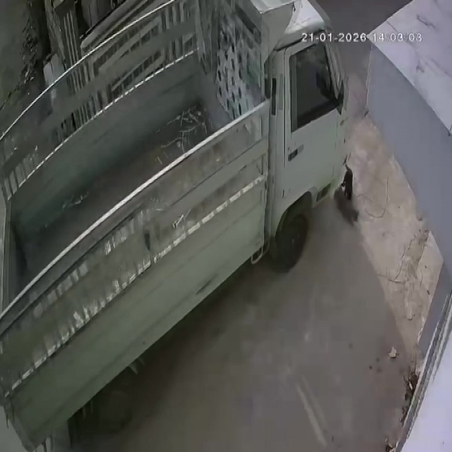 Kedi ezen sürücüye hayvan barınağında çalışma cezası