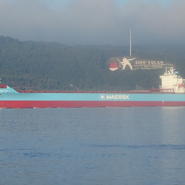 Çanakkale Boğazı'nda konteyner gemisi makine arızası yaptı