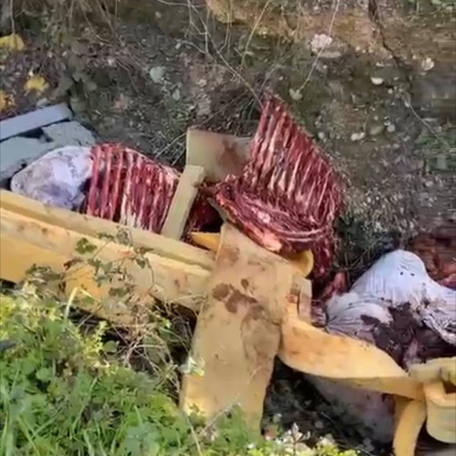 At kestikleri öne sürülen 2 şüpheli, operasyonla yakalandı