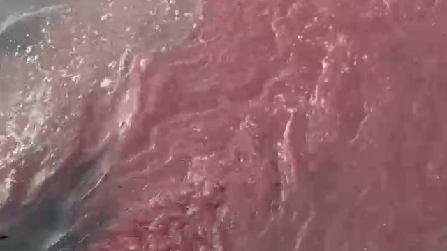 Bandırma'da deniz yüzeyi kırmızıya döndü