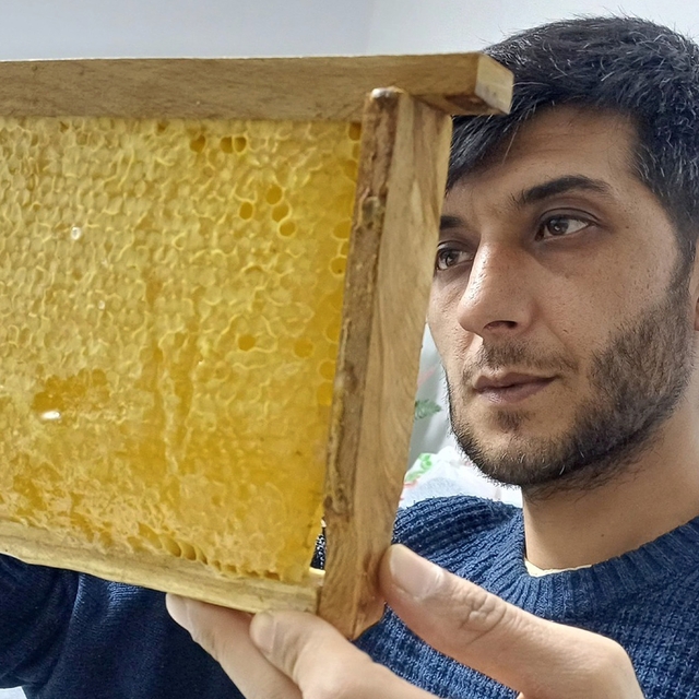 Araban'da üretilen bala yoğun talep